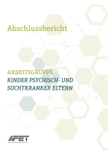 Abschlussbericht - AG