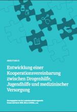 Cover: Entwicklung einer Kooperationsvereinbarung zwischen Drogenhilfe, Jugendhilfe und medizinischer Versorgung